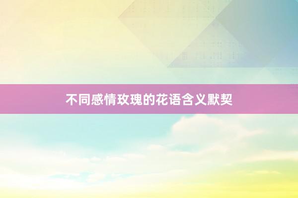 不同感情玫瑰的花语含义默契