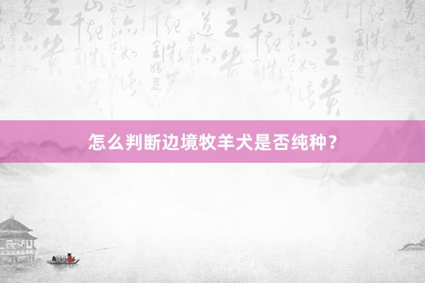 怎么判断边境牧羊犬是否纯种？